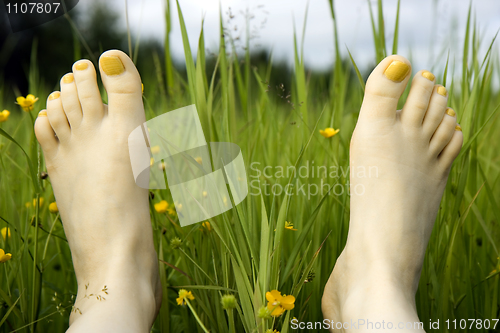 Image of Feet and a grass
