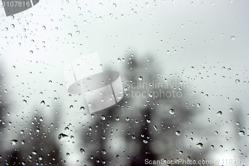 Image of Drops on glass