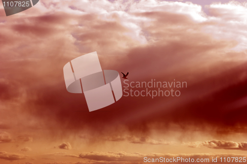 Image of The red sky