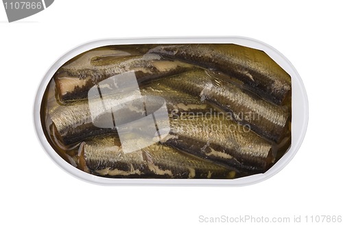 Image of Sprats in bank, the top view