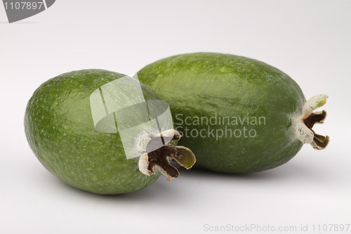 Image of close-up image of  feijoa fruit, 