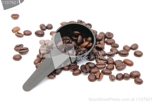 Image of Coffee beans