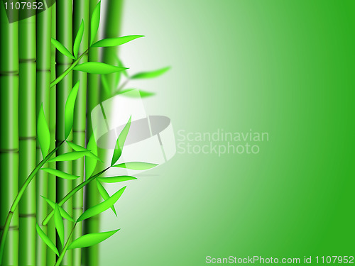 Image of Bamboo Forest Background