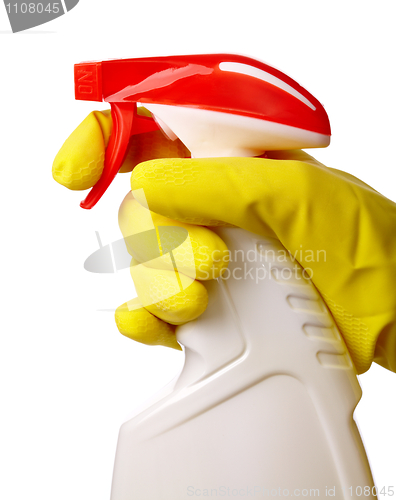 Image of Hand holds sprayer with chemical cleaner