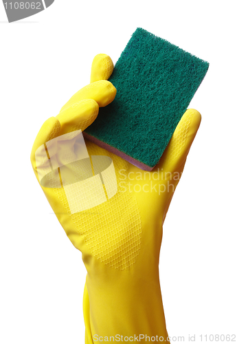 Image of Hand in glove holding washing sponge