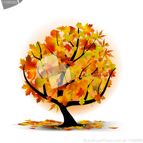 Image of Autumn tree with colourful leafs