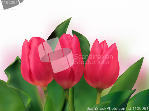 Image of Spring Flower Bouquet