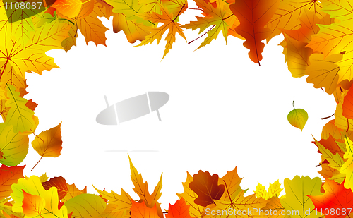 Image of Autumn leaves border for copy space.