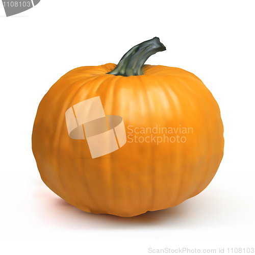 Image of Pumpkin Isolated on White.