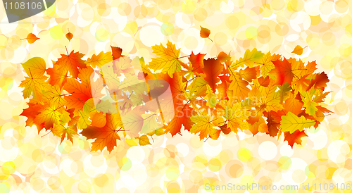 Image of Autumn background