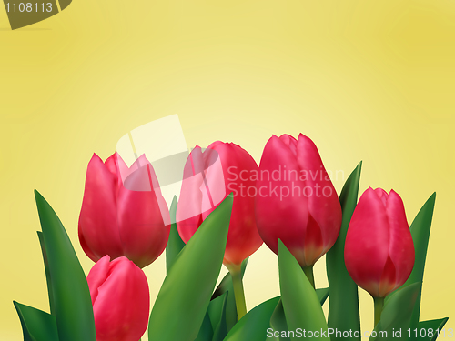 Image of Bunch of tulip flowers on the table.