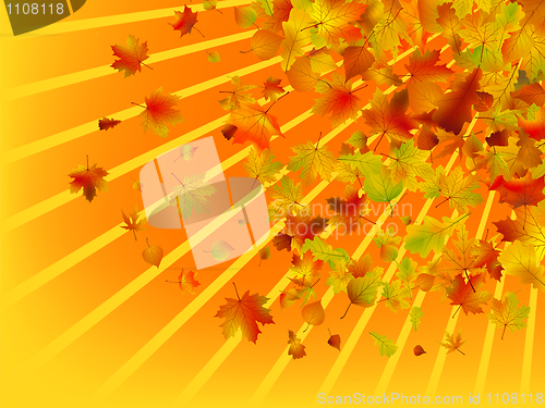 Image of Autumn background
