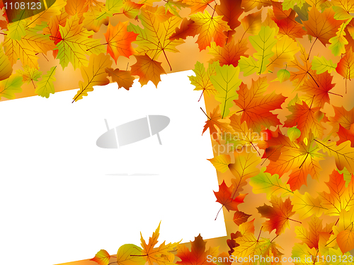 Image of Thanksgiving Fall Autumn Background