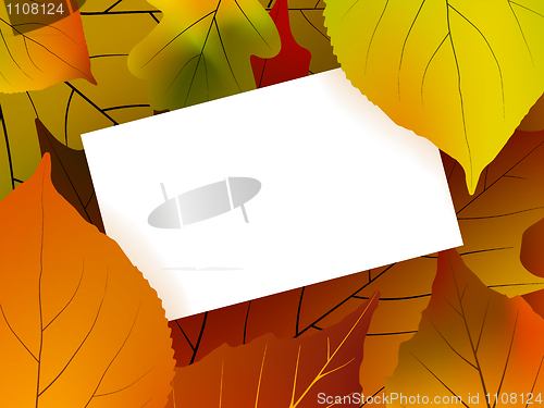 Image of Blank card surrounded by beautiful autumn leaves