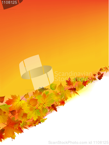 Image of Autumn vector background