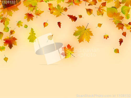 Image of Autumn card of multicolor leafs.