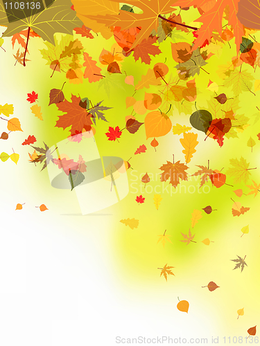 Image of Autumn card of bright multicolor leaves.