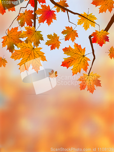 Image of Autumn Leaves, Very Shallow Focus