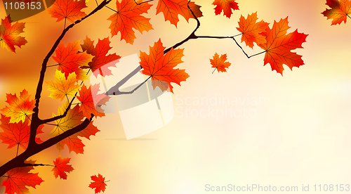 Image of Abstract colorful autumn background