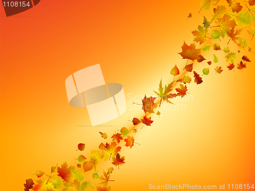 Image of Abstract autumn background.