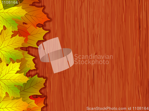 Image of Fall coloured leaves. EPS 8 vector file included