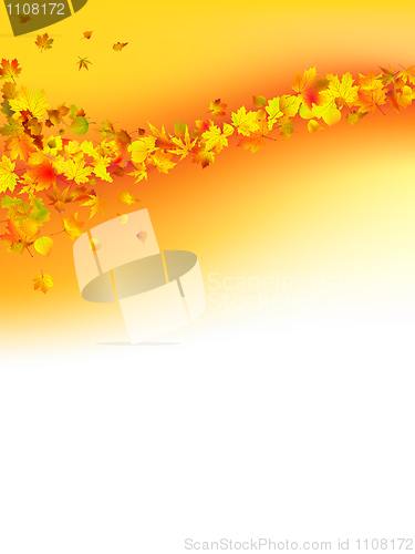 Image of Autumnal concept background