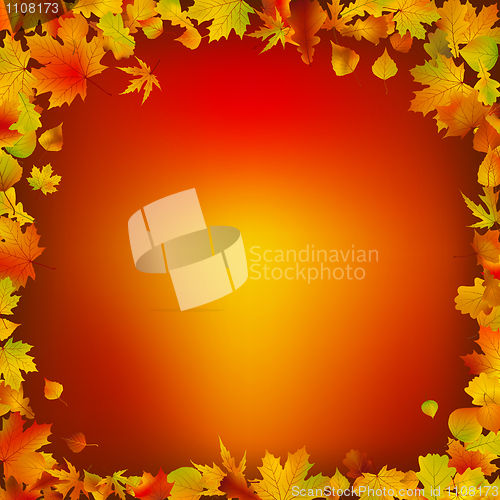 Image of Autumn leaves frame