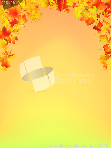 Image of Autumn Fall background