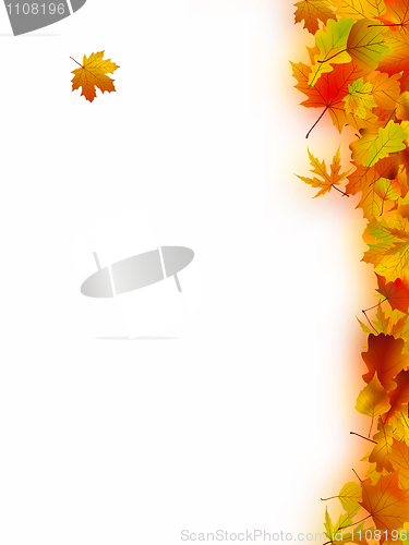 Image of Autumn Leaves