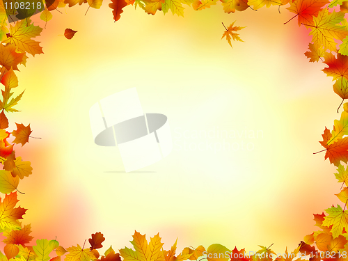 Image of Fall leaves frame