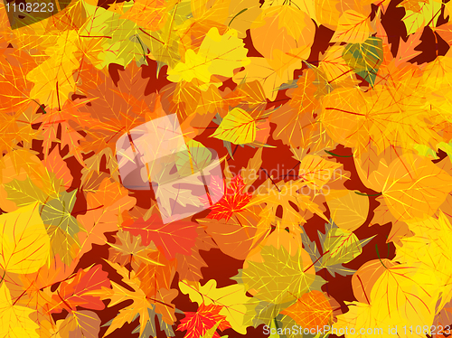 Image of Autumn leaves background.