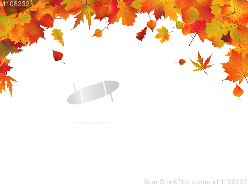 Image of Autumn leafs frame