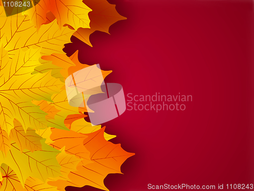 Image of Yellow fall leaves on a red background.