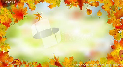 Image of Autumn card of bright multicolor leaves.