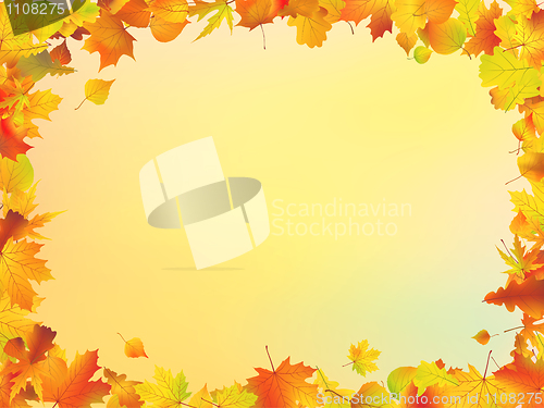 Image of Fall leaves frame