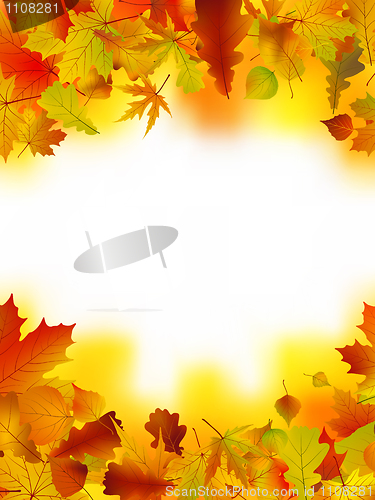 Image of Autumn card of bright multicolor leaves.