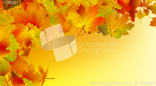 Image of Abstract colorful autumn background
