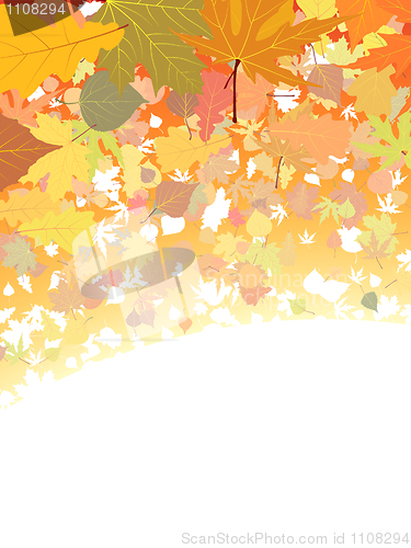 Image of Autumn leaves background.