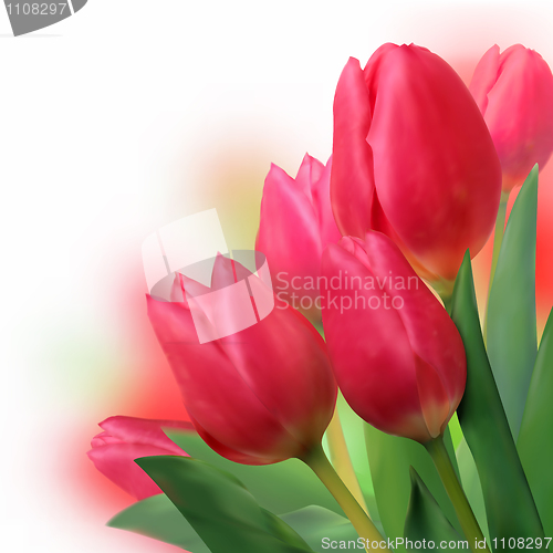 Image of Bouquet of beautiful red tulips.