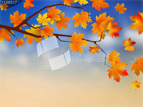 Image of Fall leaves in front of blue sky with clouds.