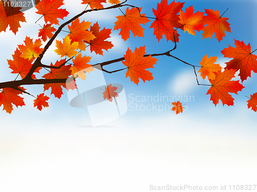 Image of Autumn colored leaf on blue sky.