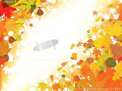 Image of Autumn light background