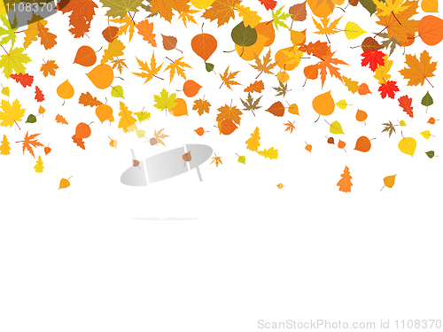 Image of Background of autumn leaves.