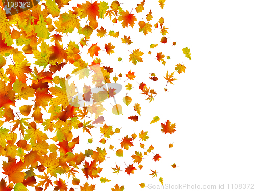 Image of Fallen autumn leaves background