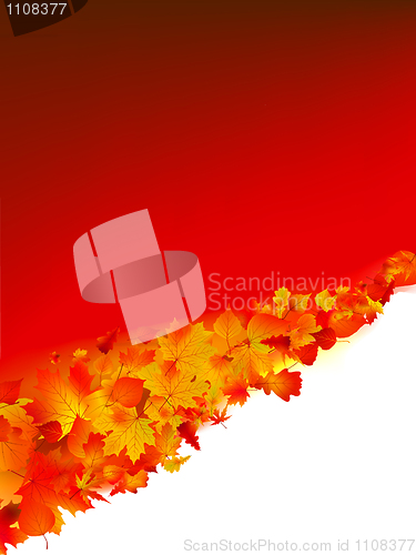 Image of Autumn vector background