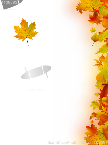Image of Autumn Leaves