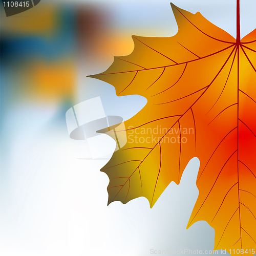 Image of Red yellow maple autumnal background