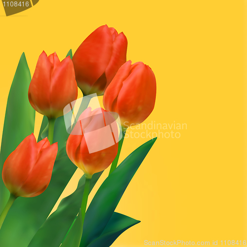 Image of Bouquet of tulips.