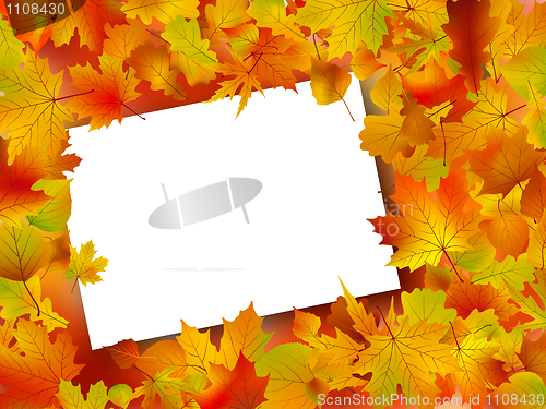 Image of Thanksgiving Fall Autumn Background