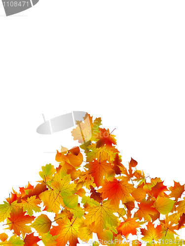 Image of Autumn background